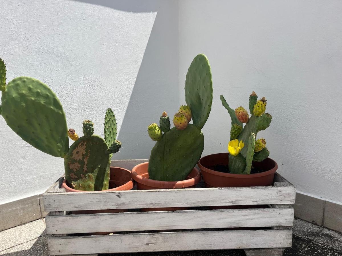 Apartment Monteverde Double Terrace Penthouse Rome